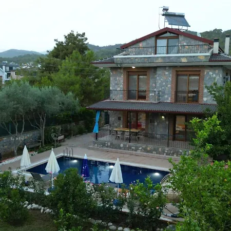 Lueks Bahceli Oezel Havuzlu 别墅 *