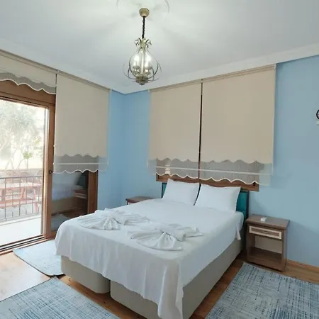 Lueks Bahceli Oezel Havuzlu Villa *